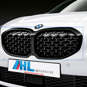 M Performance Nieren Zwart BMW 1-Serie M135i (F40)