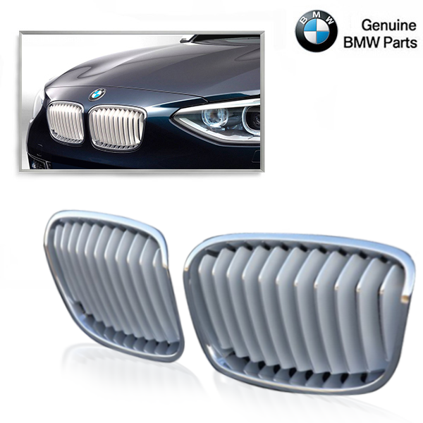 BMW F20/F21 Grille Urban Line