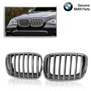 Grille BMW E70/ E71/ E72 Chroom Titaan