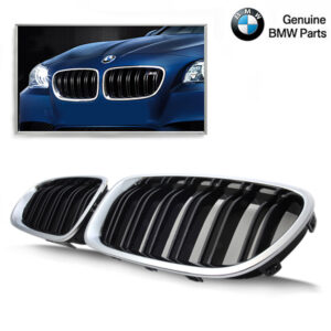 BMW M PERFORMANCE M5 Grille BMW F10/F11 Chrome