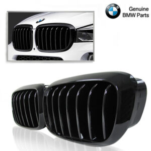 BMW M PERFORMANCE GRILLE BMW F15 F16