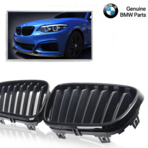 M-Performance Grille Nieren BMW F22/F23