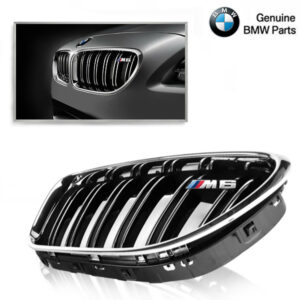 BMW M PERFORMANCE Grille BMW 6 serie F06/F12/F13 M6 Chroom II